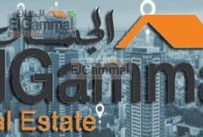 3813295 - صورة العقار 2