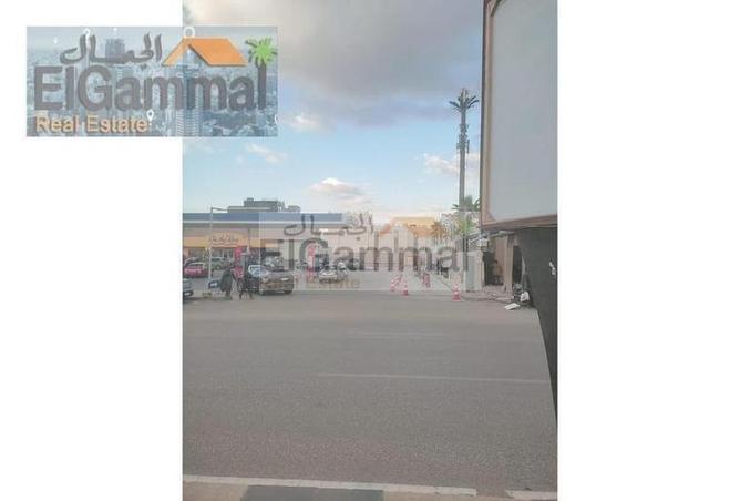 3813295 - صورة العقار 3