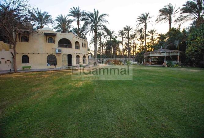 4732350 - صورة العقار 3