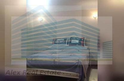 Apartment - 3 Bedrooms - 1 Bathroom for rent in Famous St. - Camp Chezar - Hay Wasat - Alexandria