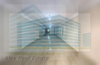 شقة - 3 غرف نوم - 2 حمامات للايجار في شارع سوريا - رشدي - حي شرق - الاسكندرية