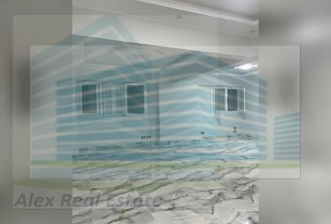 6429685 - Property Image 3