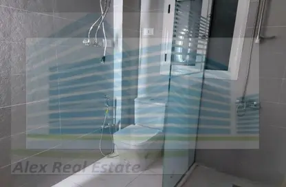 شقة - 3 غرف نوم - 1 حمام للايجار في شارع الفتح - فلمنج - حي شرق - الاسكندرية