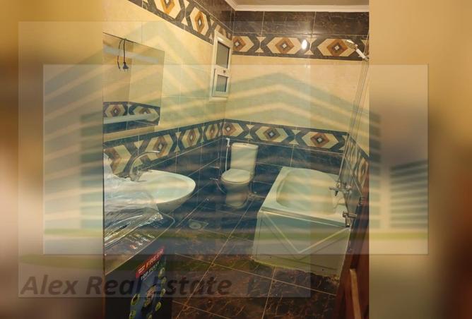 6515593 - Property Image 3