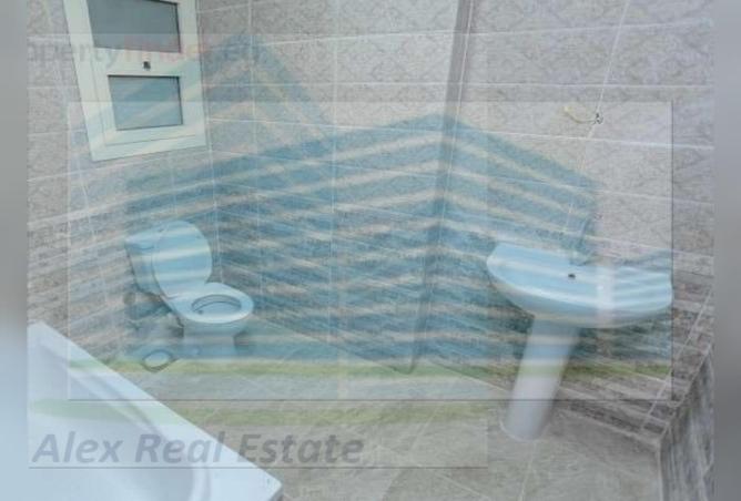 6608439 - صورة العقار 3