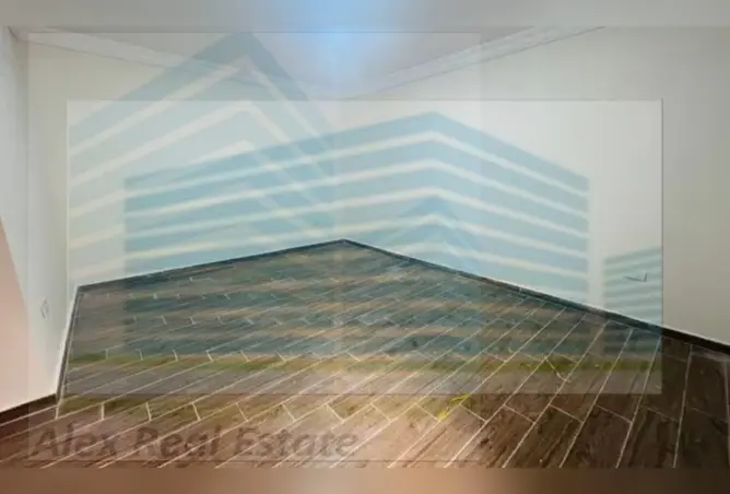 6703425 - Property Image 3