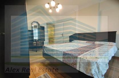 Apartment - 2 Bedrooms - 1 Bathroom for rent in Madkhal Sharkt Al Nakhl Wa Al Handasa St. - Smouha - Hay Sharq - Alexandria