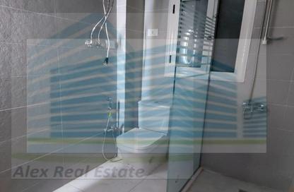 Apartment - 3 Bedrooms - 1 Bathroom for rent in Khalil Mutran St. - Saba Basha - Hay Sharq - Alexandria