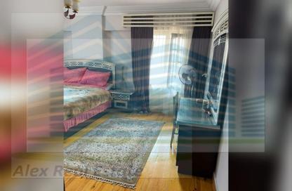 Apartment - 3 Bedrooms - 2 Bathrooms for rent in Abd Al Hamid Abou Heaf St. - El Shatby - Hay Wasat - Alexandria