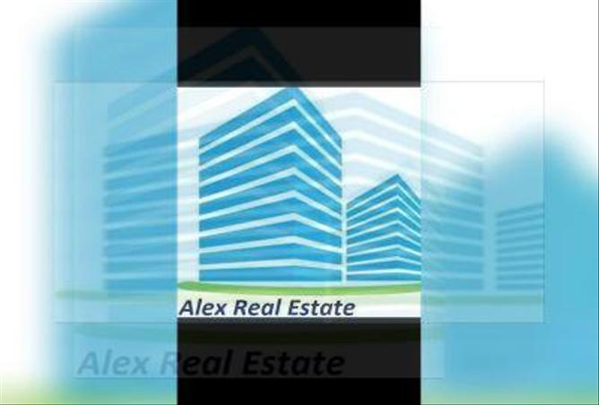 4462288 - Property Image 3