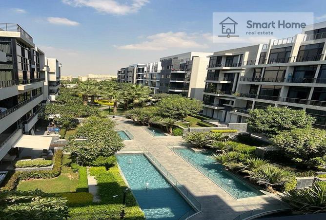 8385762 - Property Image 3