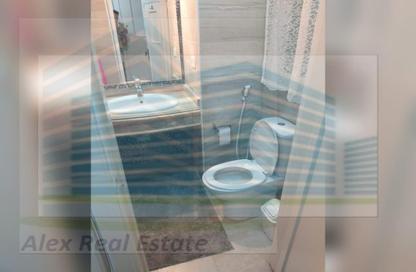 Apartment - 2 Bedrooms - 2 Bathrooms for rent in Port Said St. - Sporting - Hay Sharq - Alexandria