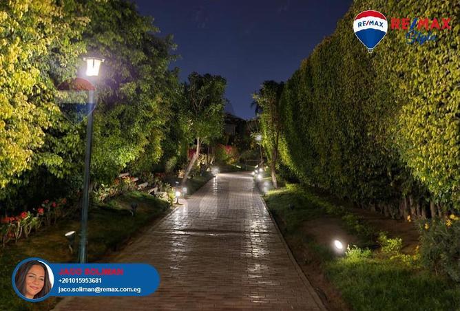 6672592 - صورة العقار 3