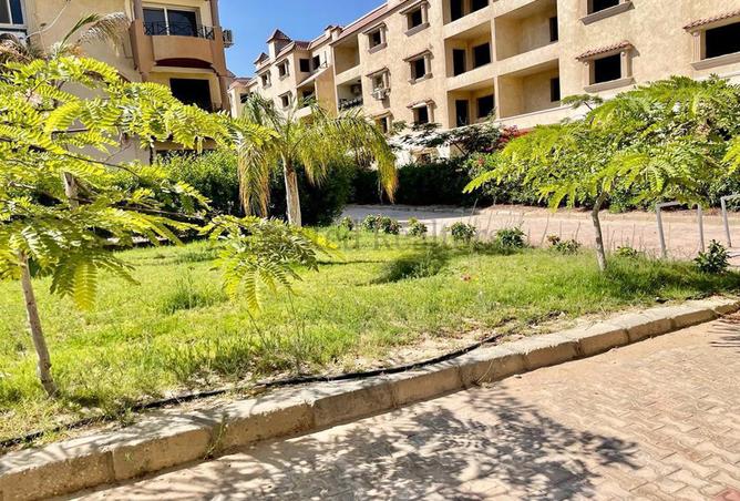 6914251 - صورة العقار 3