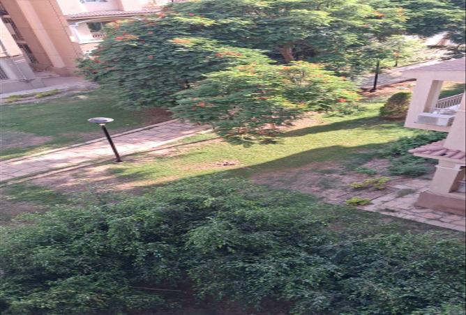 6617782 - الصورة الرئيسية للعقار