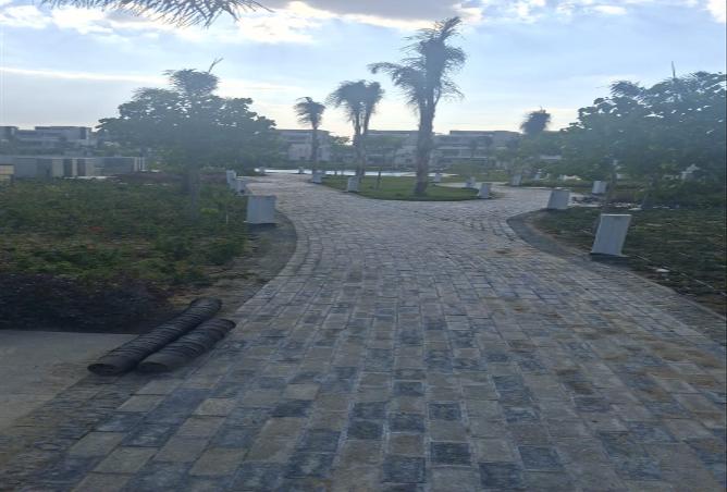 6610501 - صورة العقار 3