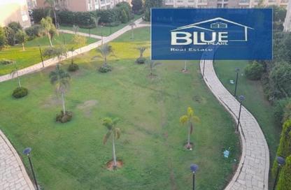 Apartment - 2 Bedrooms - 1 Bathroom for rent in B11 - Madinaty - Cairo
