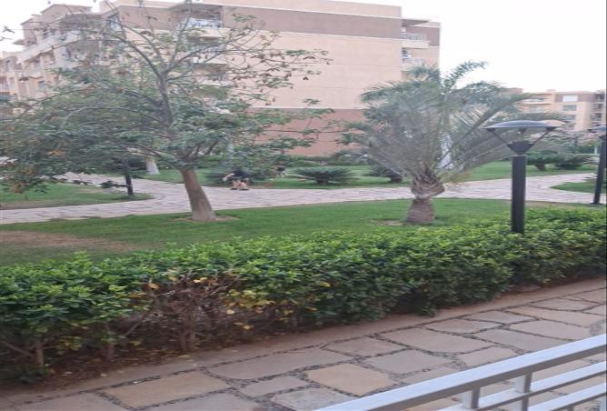 6617765 - الصورة الرئيسية للعقار