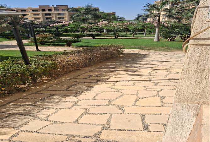 6617765 - صورة العقار 2