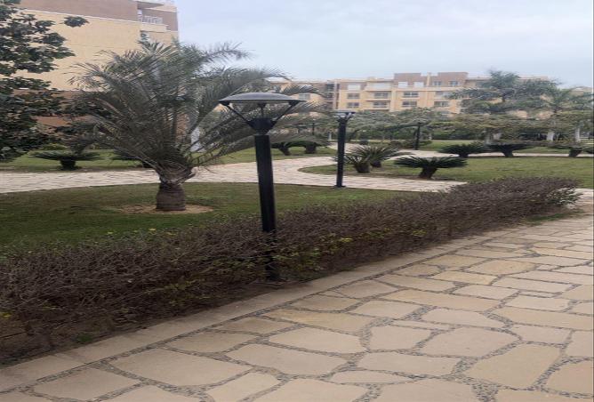 6617765 - Property Image 2