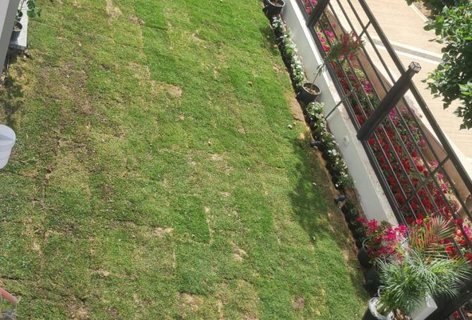 7170815 - Property Image 2