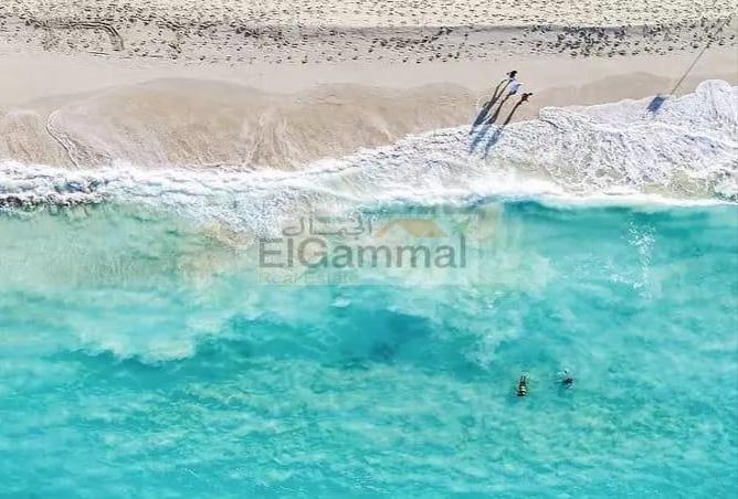 5136252 - الصورة الرئيسية للعقار