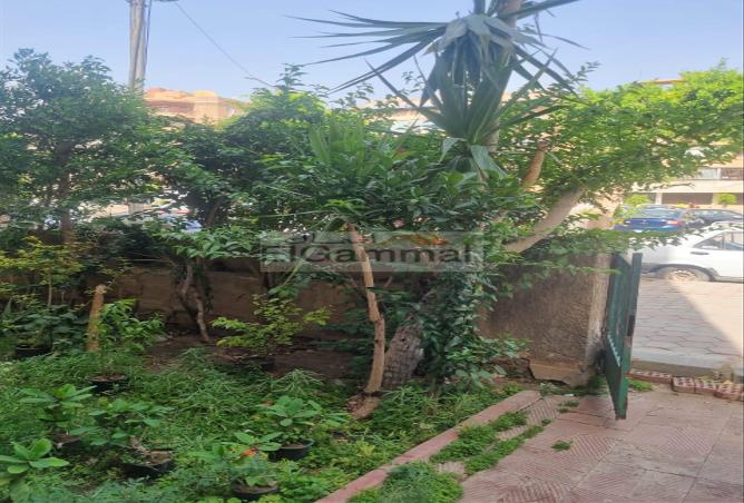 5235014 - الصورة الرئيسية للعقار