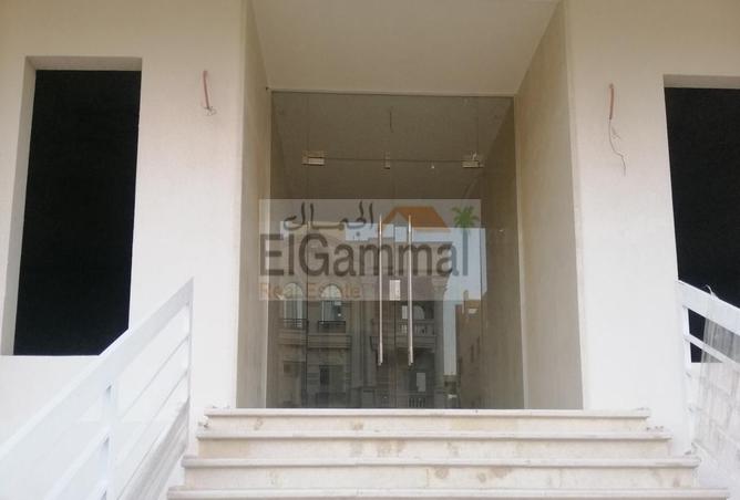 6554970 - Property Image 3