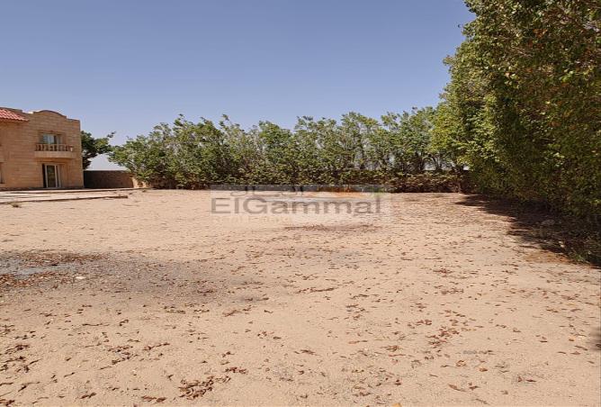 55498120 - صورة العقار 2