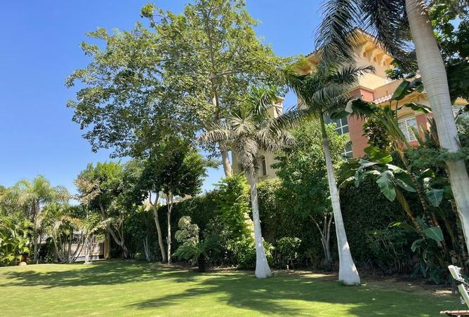 6916469 - صورة العقار 2