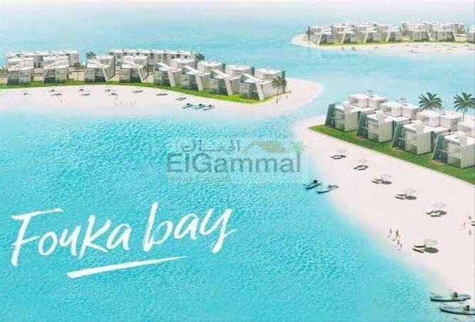 5477909 - صورة العقار 2