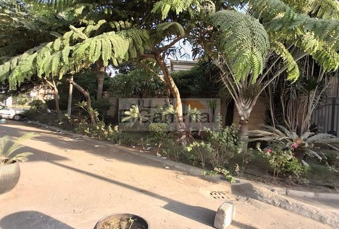 6866547 - صورة العقار 2