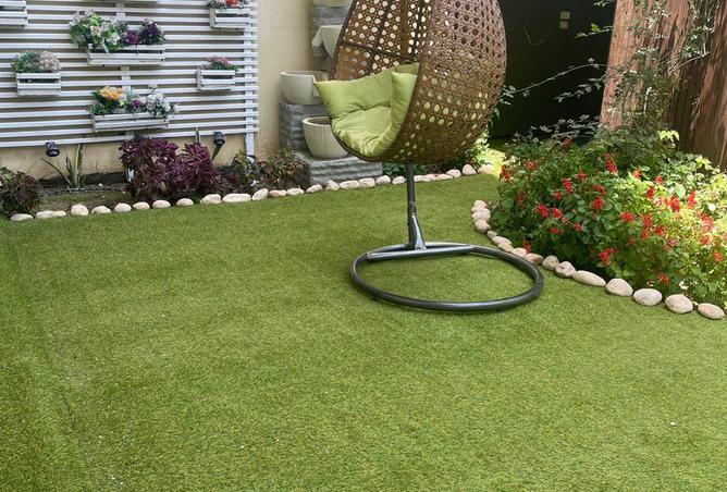 6992934 - Property Image 3