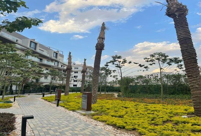 6993095 - صورة العقار 2