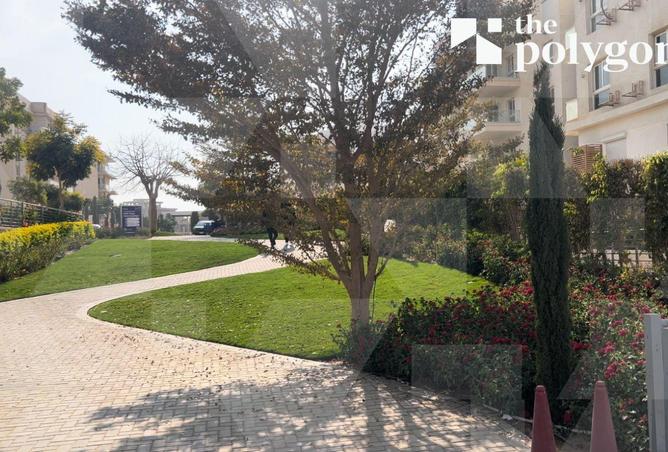 8194878 - صورة العقار 2