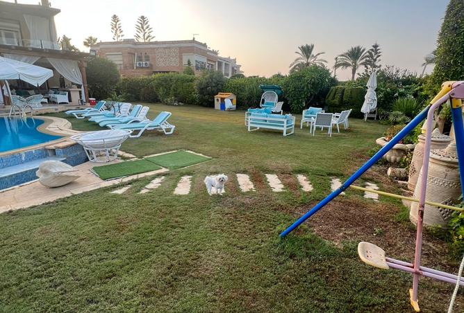 7033086 - صورة العقار 3