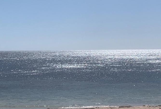 7046911 - صورة العقار 2