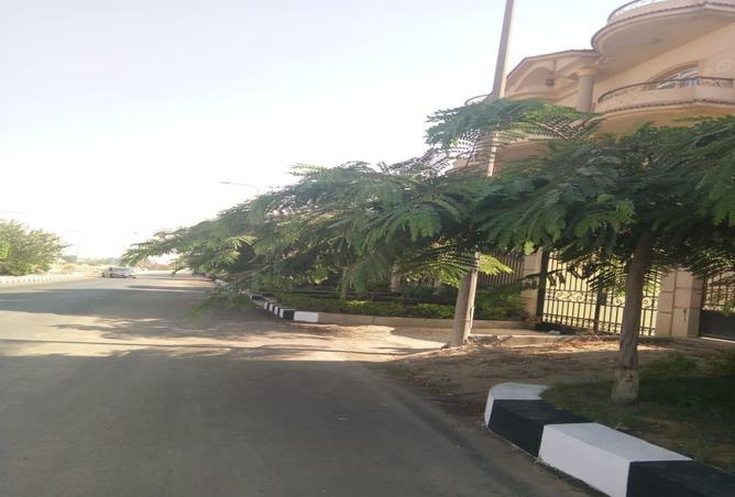 6913985 - صورة العقار 3