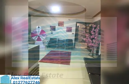 Office Space - Studio - 3 Bathrooms for rent in Stanley Bridge - Stanley - Hay Sharq - Alexandria
