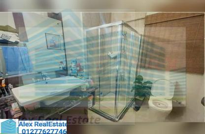 Apartment - 3 Bedrooms - 2 Bathrooms for rent in Albert Al Awal St. - Smouha - Hay Sharq - Alexandria