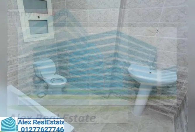 7050364 - Property Image 3