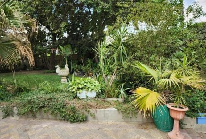 5515683 - صورة العقار 3