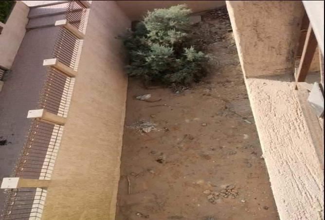 6914757 - صورة العقار 2