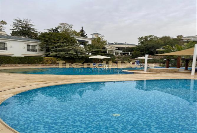 8236362 - Property Image 2