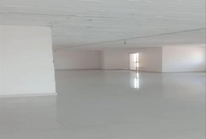 6455248 - صورة العقار 2