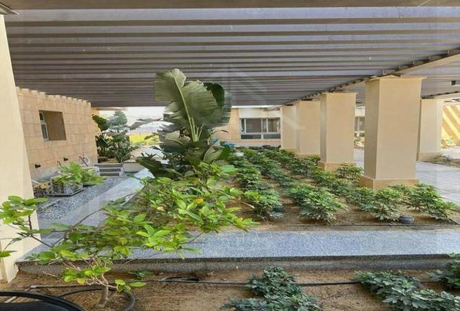 7773257 - صورة العقار 2