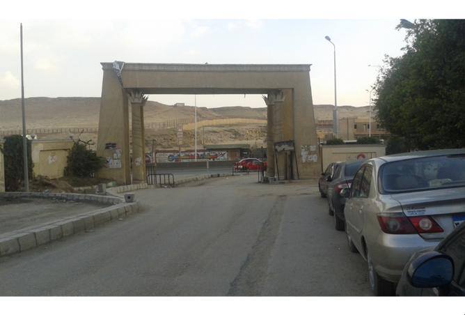 7059801 - صورة العقار 2