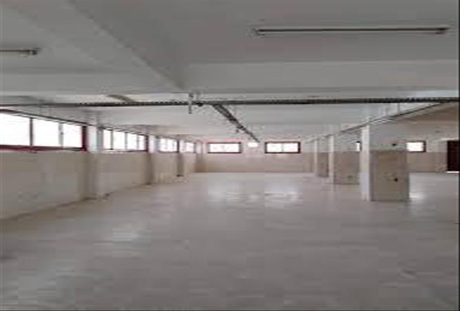 4848284 - Property Image 3