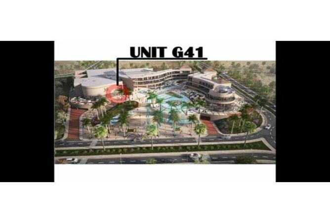 5727365 - Property Image 2