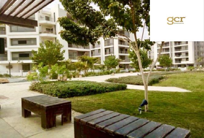 8392987 - Property Image 3